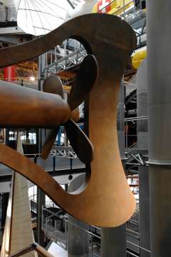 Die Heckflosse der Nautilus